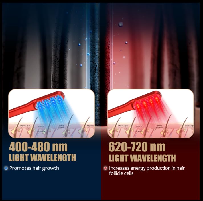Laser hair growth comb, red li - Hair Care Vegan recension och pris